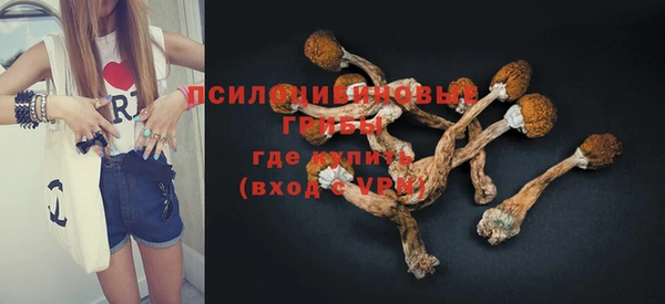 гидра Лихославль