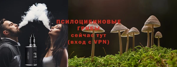 гидра Лихославль