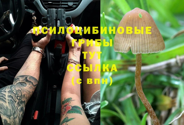 гидра Лиски