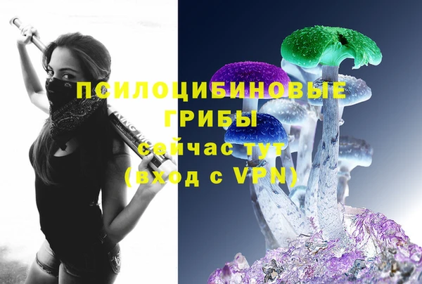 гидра Лиски