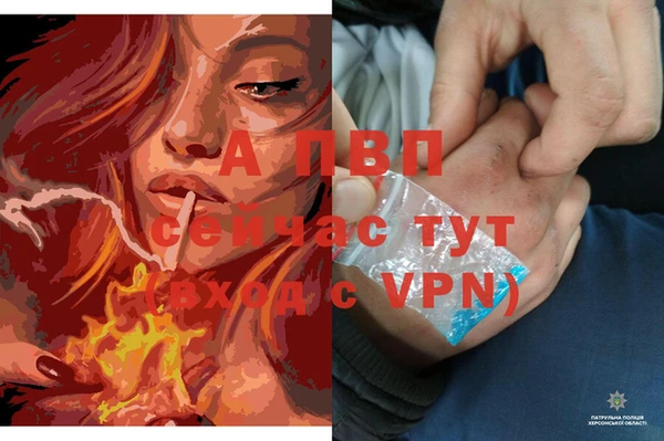 гидра Лиски