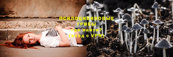 гидра Лиски